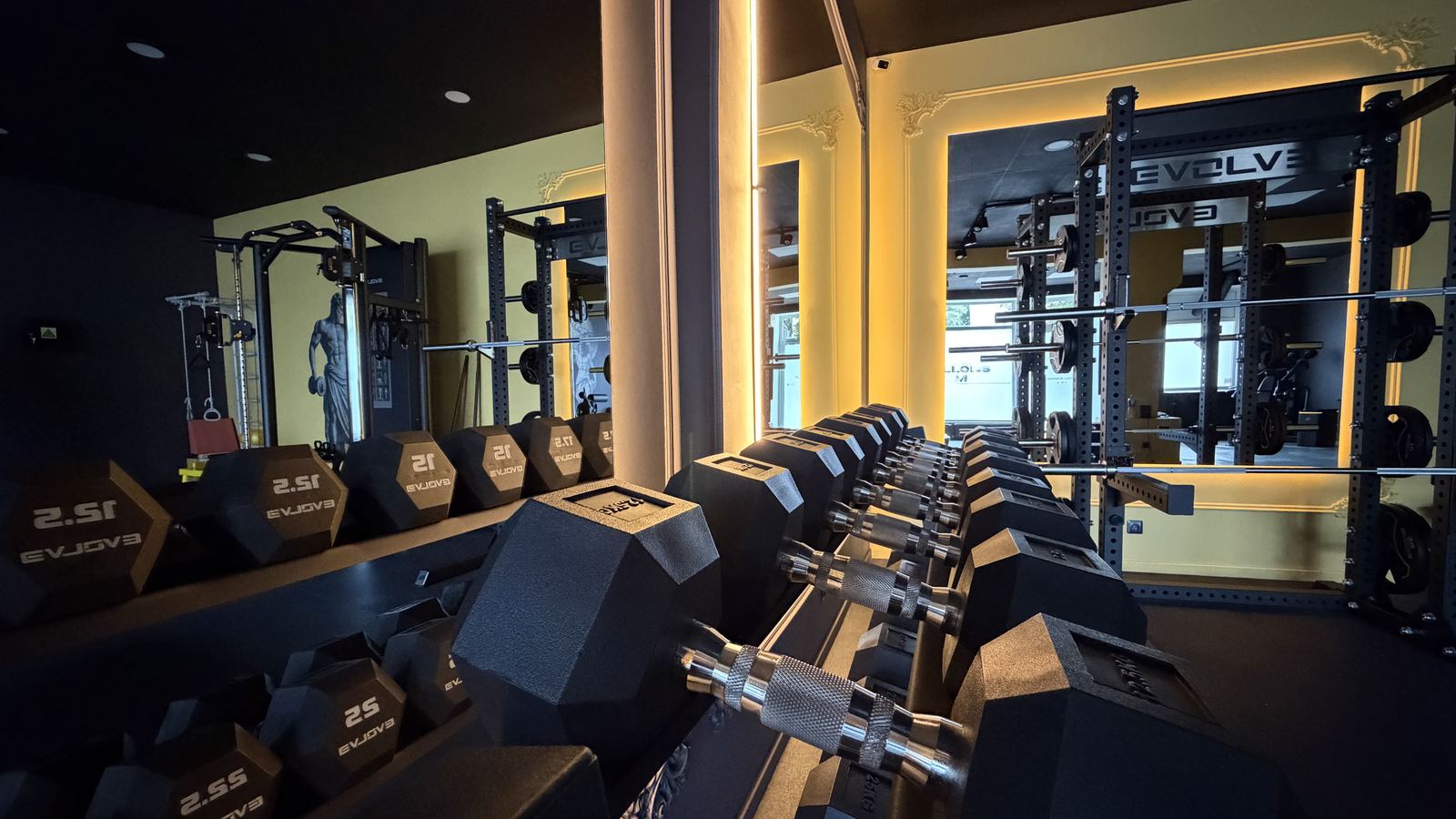 Dumbbell rack at Apollons