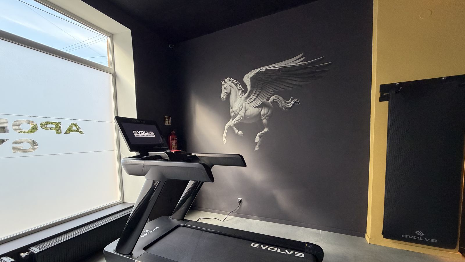 Treadmill and the Pegasus mural at Apollons